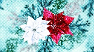 Two Christmas Poinsettias | 4K Motion Backgrounds | Instant Digital Download