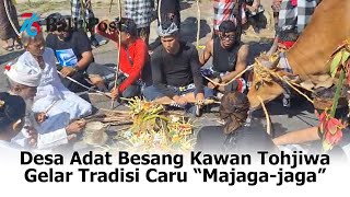 Desa Adat Besang Kawan Tohjiwa Gelar Tradisi Caru "Mejaga-jaga"