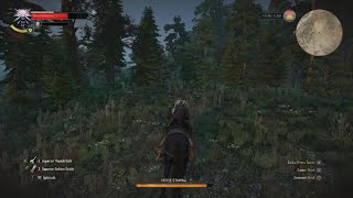 The Witcher 3: Wild Hunt - Roaming around Skellige