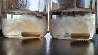 How to make easy Instant Pot liquid culture for mushroom cultivation.