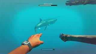 Stranded Deep - Boss Fight (Megalodon)