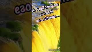 Отличие человека#топ #жизнь #человек