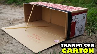 Trampa Automatica Para Aves Con CAJA DE ZAPATOS EFECTIVA - TUTORIAL - YMX supervivencia