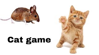 Rat on the screen to make fun with cat | cat games