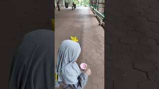 lucu banget,,Asyik makan es krim burung kakatua nya di cuekin #shorts #shortsvideo #ragunan