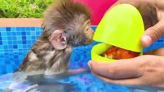 Monkey Baby Bon Bon and puppy eat ice cream and open Surprise egg at the swimming pool