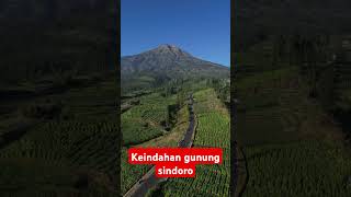 keindahan gunung sindoro #shorts #sindoro #gunungsindoro #reels #wonosobo