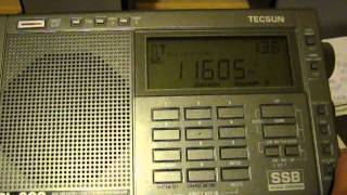 11605 kHz - Siren jammer ("Weird alarm noise")