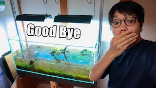 Taking Down My FAVORITE AQUARIUM