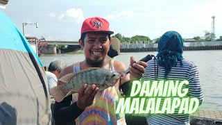 BALIK NG BALIK DAHIL SA MALALAKING TILAPIA | BONUS CLIPS