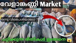 വേളാങ്കണ്ണി market , സൂക്ഷിച്ചോ ഇല്ലെങ്കിൽ പറ്റിക്കും , വിലപേശൽ ഇങ്ങനെ? #velankanni #market