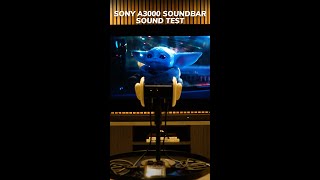 Sony A3000 Sound Test