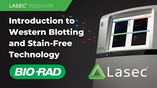 Webinar | Introduction to Western Blotting and Stain Free Technology