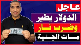 سعر الدولار اليوم في مصر/سعر الدولار اليوم في السوق السوداء اليوم السبت 2024/8/24 في مصر