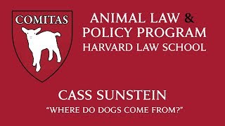 9/30/19 - Cass Sunstein "Where Do Dogs Come From?"