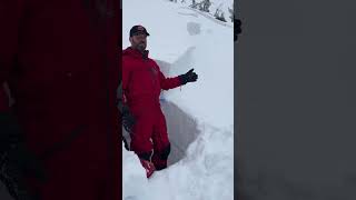 Heads up, We Are Seeing Avalanches - Island Park - 19 Jan 2024