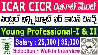 ICAR CICR Recruitment 2023 | Central Institute for Cotton Research | Young Professional Vacancy 2023