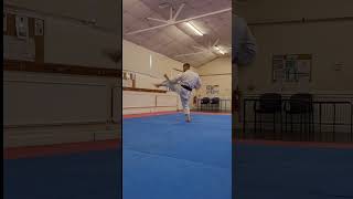 Shotokan Kata - Heian Nidan #karate #kata #shotokan