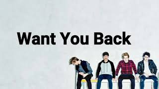 5 Seconds Of Summer - Want You Back (Lyrics)