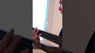 groove bassline on 5 string fretless bass #bassguitar #bassline #bassplayer #fretlessbass #groove