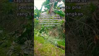 Banggalah, jika kamu diperjuangkan oleh satu lelaki 🥀🥀🥀 #shorts #shortvideos #sad #sadsong #sadstory