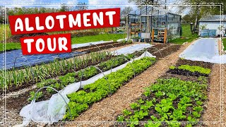 May Allotment Update Tour + Transplanting Day