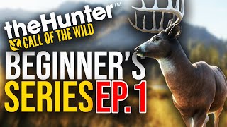 Hunting With AR15s! - theHunter Call of the Wild