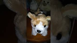 My corgi dog plush