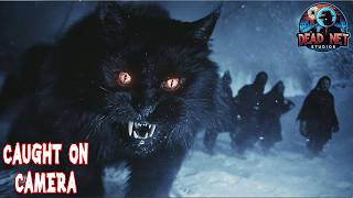 Don't Get Caught by the Yule Cat! 10 Real Icelandic Cryptids