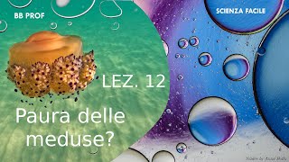 Lezione 12 - Paura delle meduse?