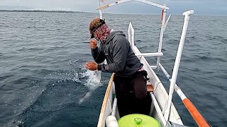 Tarikan ikan cakalang membuat pelampung sampai terlempar.