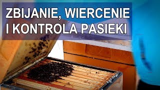 #29 Zbijanie, wiercenie, kontrola pasieki i parę słów o głodzie