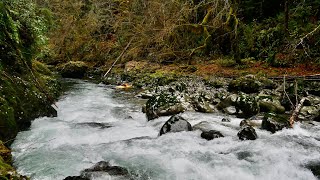 Matheny Creek | Kayak