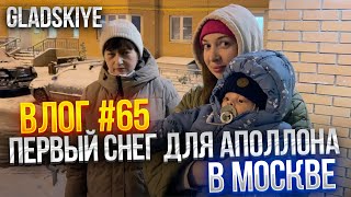 Как Аполлон встречает свой первый снег? Исследуем зимние радости вместе!