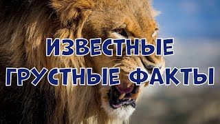 ИЗВЕСТНЫЕ ГРУСТНЫЕ ФАКТЫ