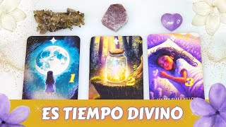 Tiempo Divino ¿Qué Estas Manifestando? - Elige una Carta ✨ Tarot Interactivo