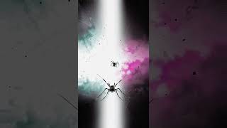 🕷️🕸️ Spiders craft webs - Daily Art Drops💧10.19.23 #ai #video #art #crispr #op