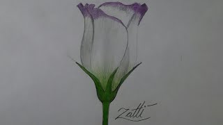 Desenhando uma flor