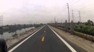 Coyotes on the San Gabriel River Trail