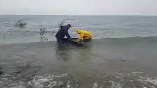 Fishing competition at the Kinneret