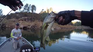 Bass Fishing Lake McClure - Largemouth, Spots, and a LOT of fun!!!