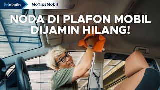 Tips Cara Mudah Membersihkan Plafon Mobil Yang Sudah Kusam, Paling Ampuh! | Moladin