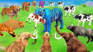 10 Zombie Tiger vs 10 Cow Buffalo vs 2 Mammoth Elephant Fight Cow Buffalo Saved By Woolly Mammoth