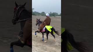 First class Single Footing Champion |Fakhre Pakistan