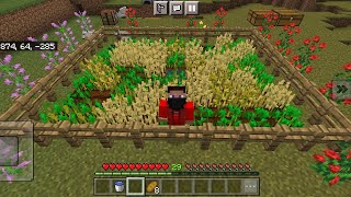 Minecraft Survival series episode 2 making of wheat farm