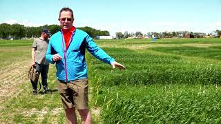 Field School 2022 - Ultra Early Durum, Dr. Brian Beres