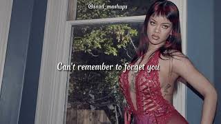 ｓｈａｋｉｒａ,ｒｉｈａｎｎａ - ｉ ｃａｎ'ｔ ｒｅｍｅｍｂｅｒ ｔｏ ｆｏｒｇｅｔ ｙｏｕ (ｓｐｅｄ ｕｐ)