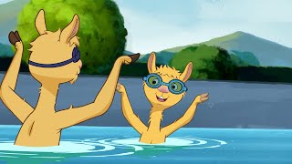 The Llama Crew Learns to Swim! 🏊🩱🩳