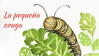 Cuento la pequeña oruga