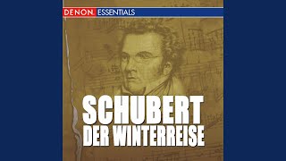 Die Winterreise D 911, VIII. Rückblick (Es Brennt Mir Unter Beiden Sohlen)